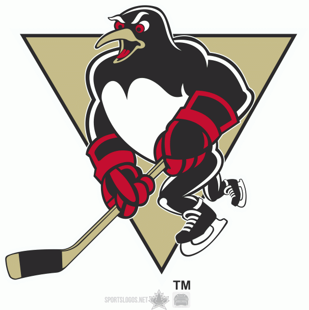 Wilkes-Barre_Scranton 2011 12-2015 16 Alternate Logo decal supplier